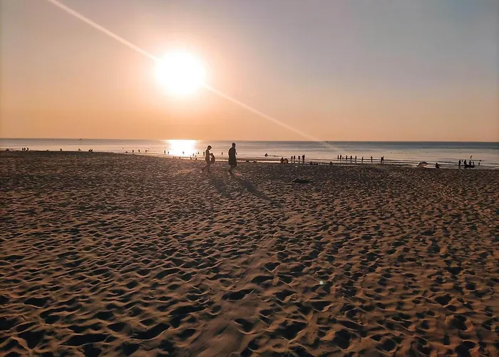 Sea Shelter 奥斯滕德